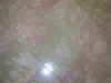 109-0057_AUT.jpg (19067 Byte)