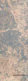 alares.jpg (32232 Byte)