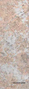 caria.jpg (30634 Byte)