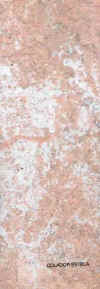 estela.jpg (28203 Byte)