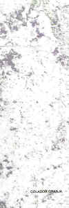 granja.jpg (26039 Byte)