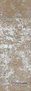 marim.jpg (31740 Byte)