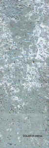 meda.jpg (35090 Byte)