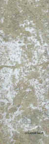 salir.jpg (30817 Byte)